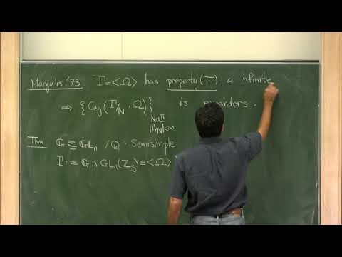 Prof. Alireza Salehi Golsefidy | Expansion properties of linear groups