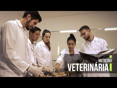 Catálogo de cursos #19 - Medicina Veterinária