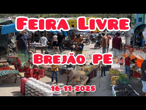 FEIRA LIVRE DE BREJÃO 16/11/2025 #feira #domingo #nordeste