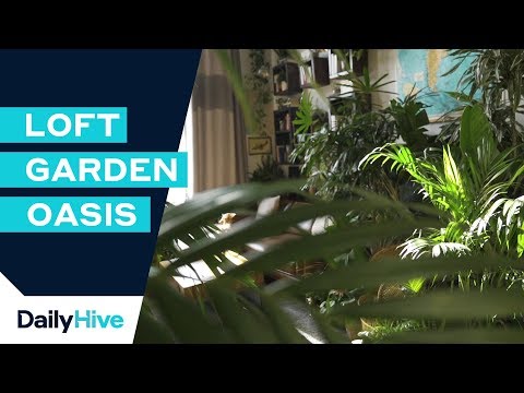 Apartment Garden Advice to Help You Grow an Urban Jungle