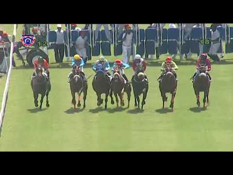 RM1 R2 - Pop The Question