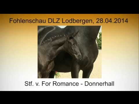 Stf. v. For Romance - Donnerhall