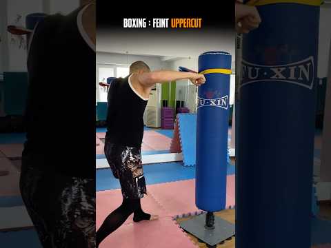 Boxing :Feint uppercut 🥊💀 #boxing #boxer #training #mma #muaythai