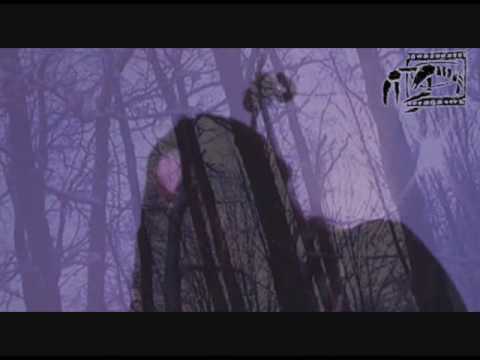 Euthanasia - White Lies