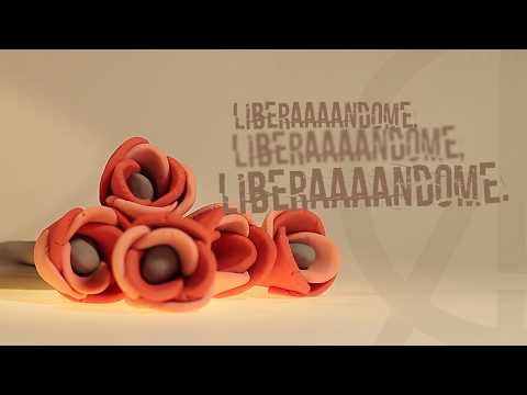 Razones de Cambio_Liberándote (Lyric Video)