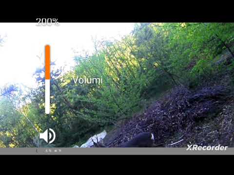 Kaprolli Autokton#Kapre#Opoj#Hunting#Deer#Wildlife#2025#Kaprolli Autokton#Hunting#Wildlife