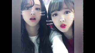 171027 TWICE [트와이스] Pikachu Song by Chaeyoung so cute トゥワイス