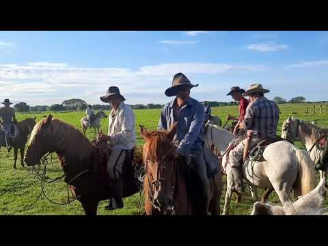 trabajo de llano dia 1, part 1