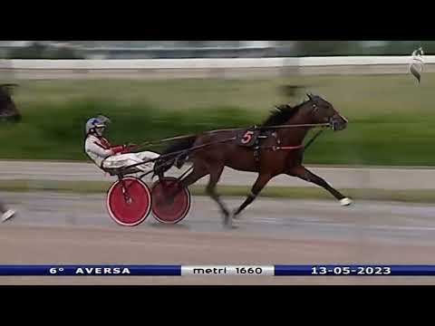 Aversa trotto 13 Maggio 2023 - 6° Corsa