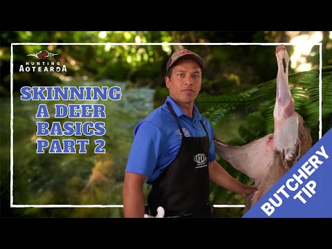 The basics of skinning a Deer - Hunting Aotearoa Tip - Part 2