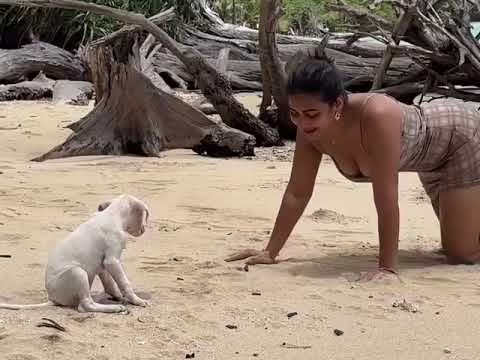 #inayasultana #inaya playing with a dog in beach in doggy