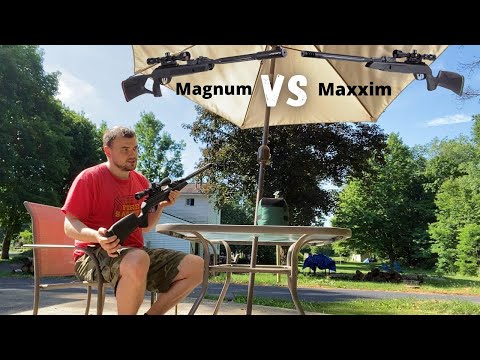 Gamo Swarm Maxxim .22 Vs Swarm Magnum  .22 (Penetration Test)