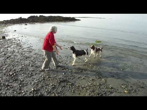 Logan & Maggie having fun at Fort Foster