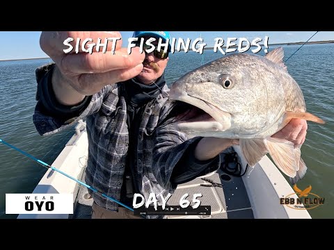 HOW TO Sight Fish Redfish in Charleston SC Winter (Clear Water Tactics)