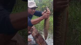 Download lagu jumbo size soft mp3