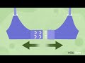 How To Take Off Your Bra Without Taking Off Your Shirt