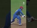Rashid Khan Can Do It All Cricket Cwc23 Afghanistan