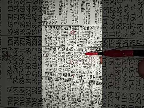 LUCKY TUESDAY  (20--16--48--90)