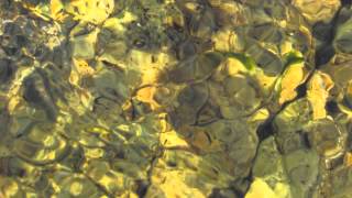 Memories of Tomorrow - Keith Jarrett played by de Laat & Schreurs