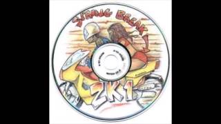 Hi Lo (Flow) - Chamillionaire, Big Tiger, and Paul Wall - Spring Break 2k1 - Track 08