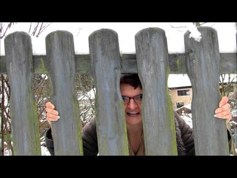 Der Lattenzaun von Christian Morgenstern