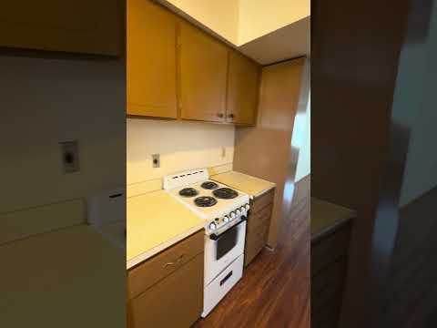 S1215 - Video 2 of 2