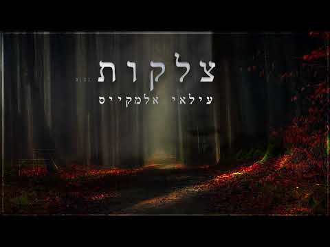 עילאי אלמקייס|צלקות|קאבר|ilay elmakys