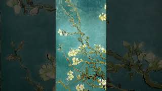 Vídeo de Amendoeira em Flor - Van Gogh 1890. Arte impressionista em tela canva 100% algodão.