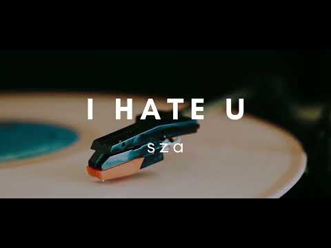 Sza - I Hate U (Vinyl Video)