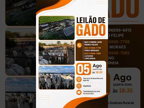 LEILÃO DE GADO DA ITAJÁ LEILÕES