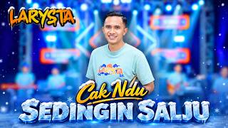 Download lagu SEDINGIN SALJU - CAK NDU - NEW LARYSTA mp3
