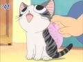 THX Cat Brush