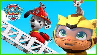 PAW Patrol - Cat Pack gameplay video by InnesR5, 55:33 duration