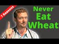 7 Reasons to NEVER Eat Wheat Again (Not Just Gluten) 2022