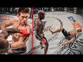 1 Minute of Pure Violence | Melvin Manhoef Top Knockouts