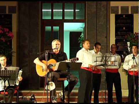 ANTON ŠULJIĆ BOŠKINAC Novaljska elegija