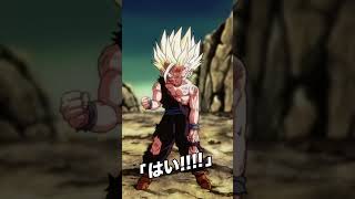 最強で最高の親子かめはめ波。 #ドラゴンボール #dragonball #ドッカンバトル