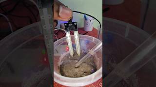 SOIL MOISTURE SENSOR PROJECT GSNCREATIONS #shorts #youtube #diy #arduino #project #soil #automatic