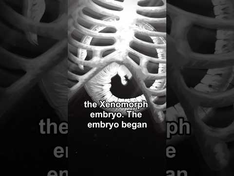 The BRUTALITY of the Xenomorph life cycle