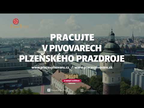 Náhled pro video reference