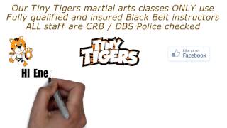 preview picture of video 'Kids Tiny Tigers martial arts classes Blyth'