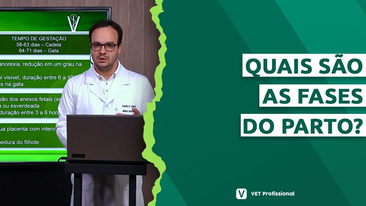 Parto normal de cadelas e gatas