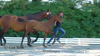 Video of Con Belle
