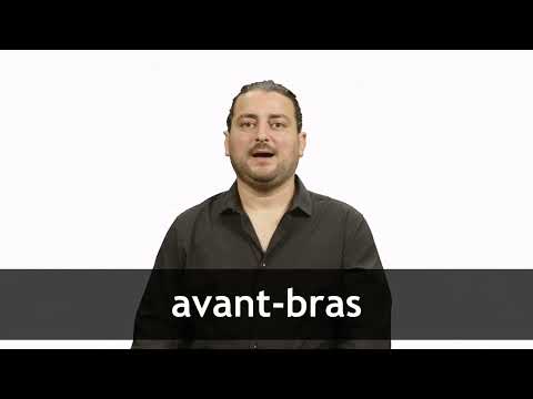 English Translation of “AVANT-BRAS”