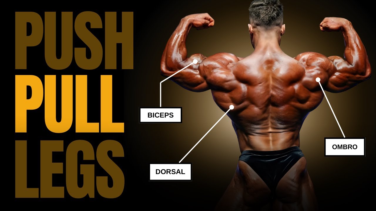 O TREINO PERFEITO DE PUXAR