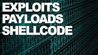 Exploits, Payloads e Shellcode. O que você precisa saber
