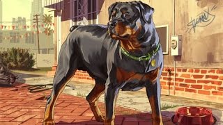 GTA 5: how to get a dog - (GTA 5 dog) - PARODY
