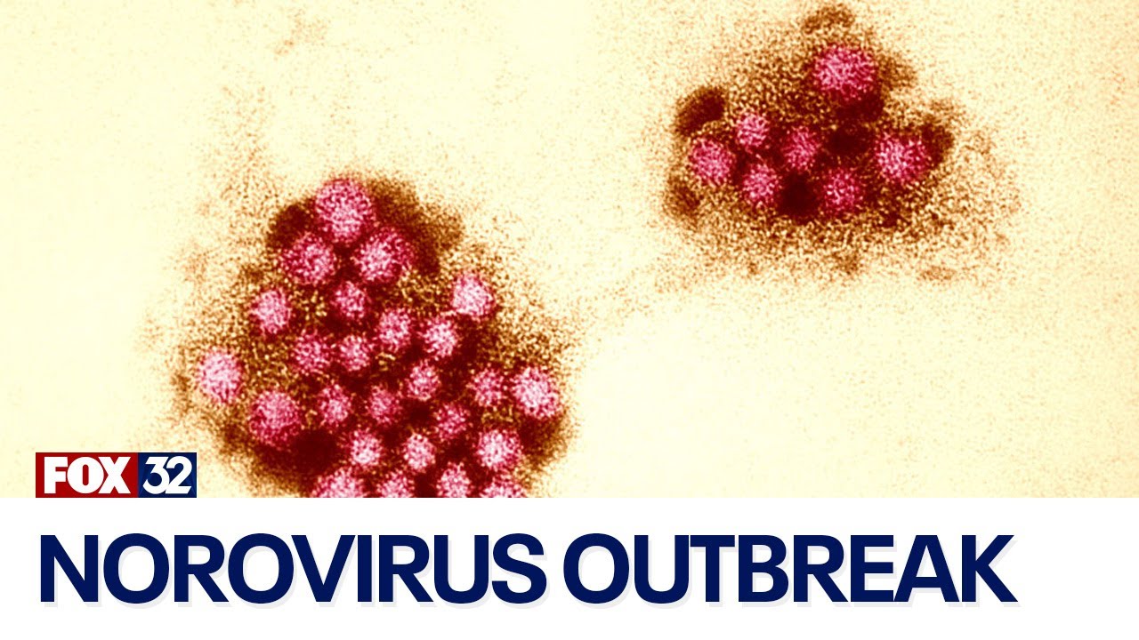 How to protect yourself from norovirus this winter season