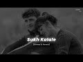 Sukh Kalale - (Slowed & Reverb) | Shreya Ghoshal | Nostalgic