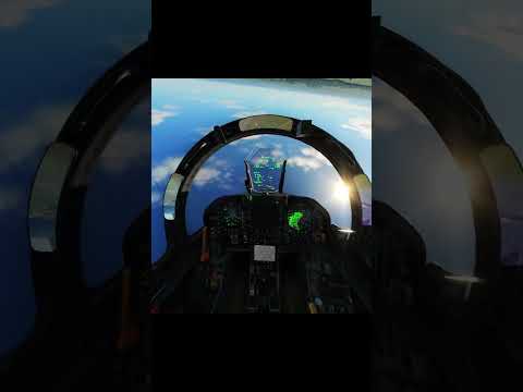 The Screaming of the BEEEEP - DCS F/A-18C